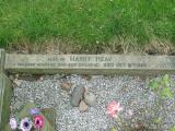 image of grave number 313676